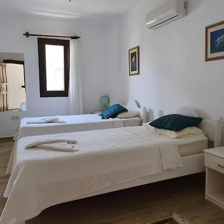 Sanda Dalyan